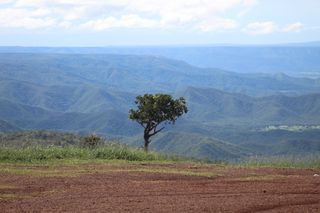 Quelle ville en Europe trace la voie de l'avenir en matière de tourisme durable ? 