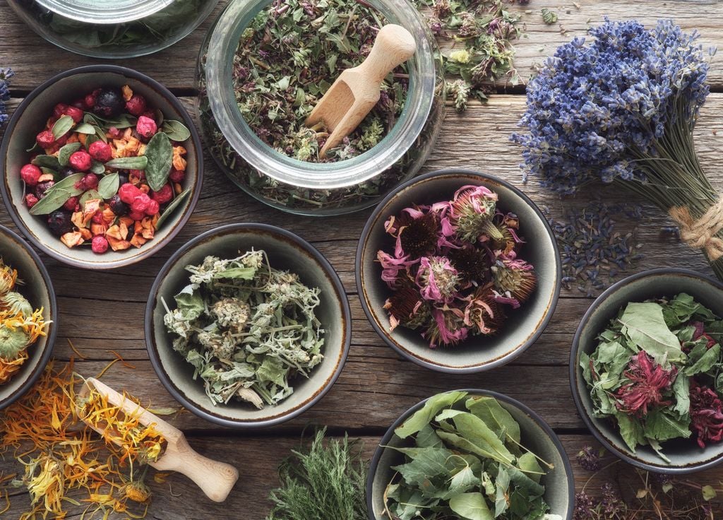 Plantas medicinales: lavanda, diente de león, menta.