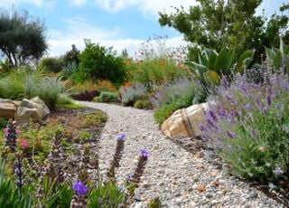 Algunos consejos para adaptar tu jardín al calentamiento global