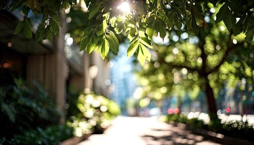 Quels arbres planter pour pour lutter efficacement contre la chaleur ?