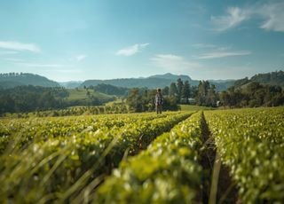 Quels fruits et l&eacute;gumes pourrons-nous cultiver en France en 2040 ?