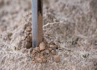 Quels sont ces microbes inconnus aux propriétés étonnantes découverts dans les entrailles de la Terre ?