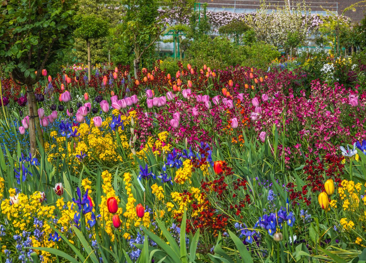 Quels sont les cinq plus beaux jardins à découvrir en France