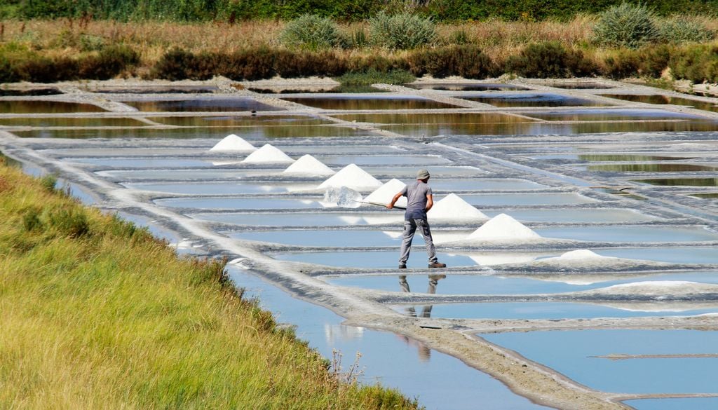 Les marais salants de Noirmoutier.
