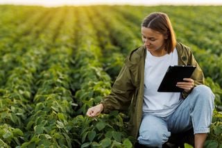 ¿Quién cultiva de forma más eficiente y con menor impacto: ellos o ellas? Lo que dice la ciencia