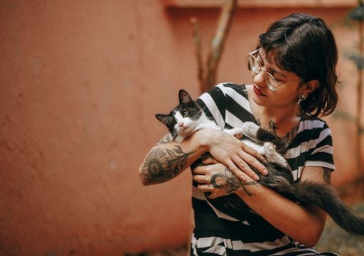 Quer passar o pr&oacute;ximo ver&atilde;o a cuidar de gatos numa ilha grega? Saiba como