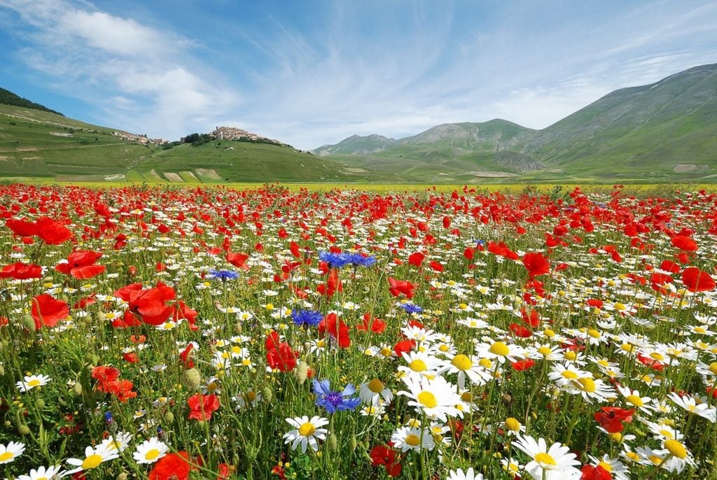 La primavera è ormai sempre più vicina: ecco le date.