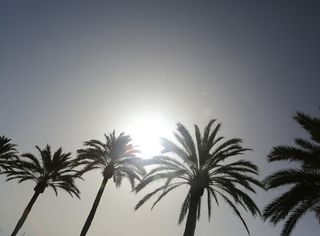Caldo torrido, gli ultimi dettagli ed il parere degli esperti