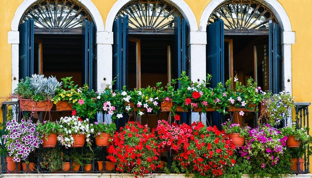 Nelle forme ricadenti, la dipladenia e la mandevilla possono essere abbinate a petunie e surfinie, aggiungendo intensità cromatica alle cascate di fiori