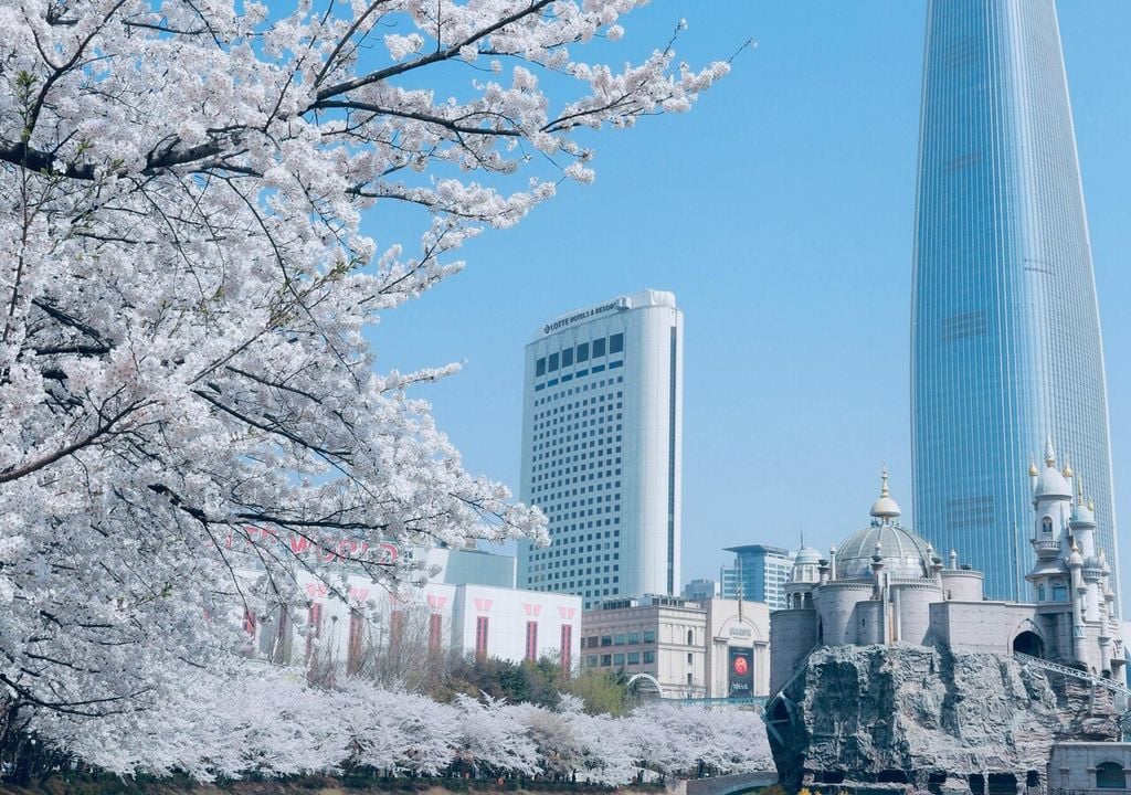 alberi, fiori, grattacielo