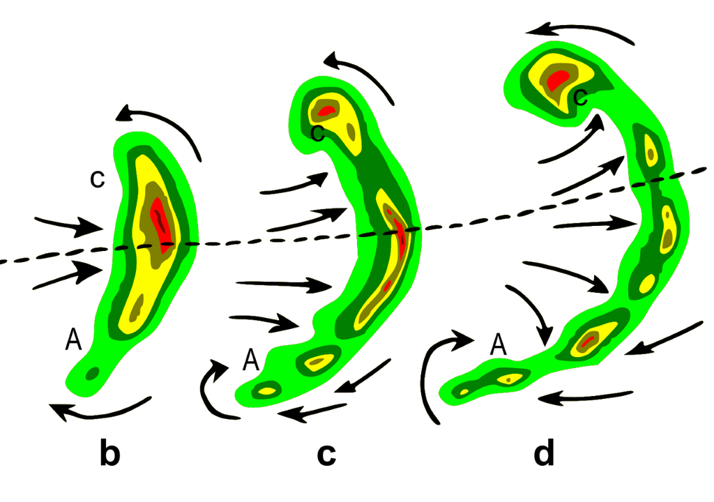 Schema di formazione del fenomeno del "bow echo" durante l'intensificazione dei downbursts. Credit immagine Wikipedia.