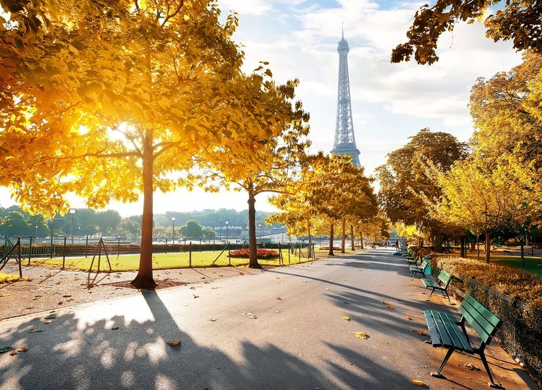 Qui est &agrave; l'origine de ces myst&eacute;rieuses mutilations dans le 16&egrave;me arrondissement de Paris ?