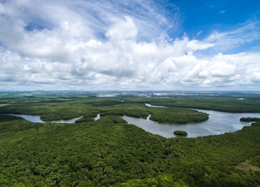 Descubierta una nueva civilización Amazonas