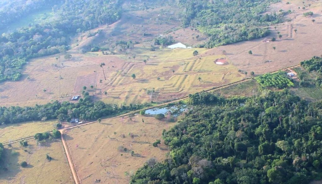 geoglifos Se estima que habría miles de estructuras más en la selva amazónica. Crédito: Martti Pärssinen.