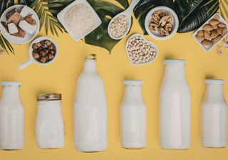 Quinoa y garbanzo: la ciencia chilena mejora la prote&iacute;na de las bebidas vegetales