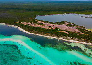 Quintana Roo estrena Ley Tajamar: ¿Un nuevo escudo para los manglares mexicanos?