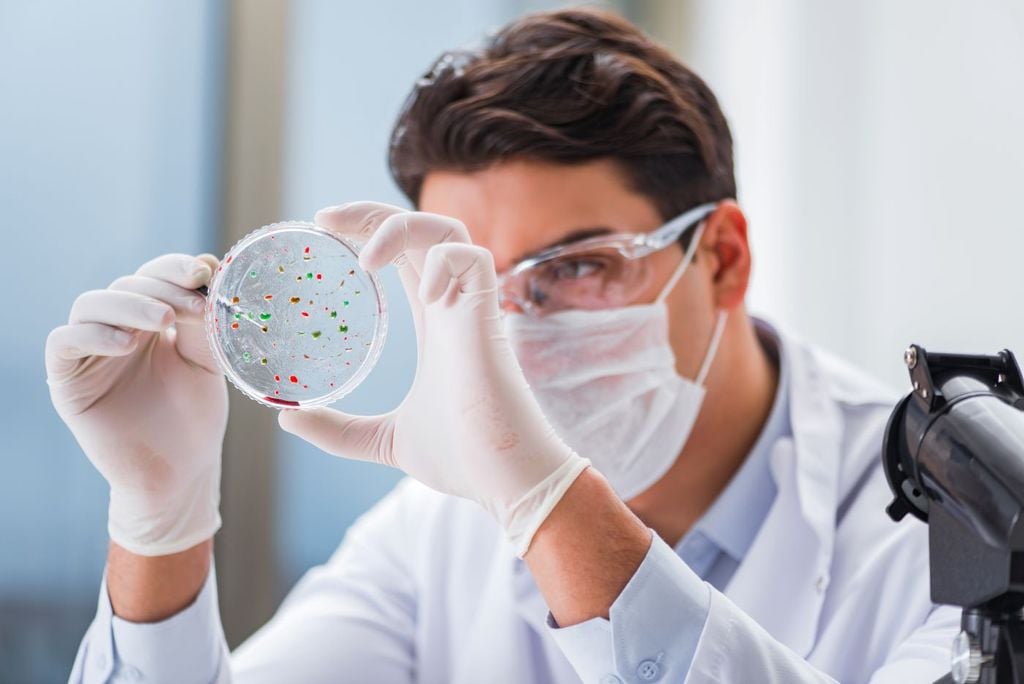 A medida que las bacterias se multiplican, la cantidad de inductores químicos en el ambiente aumenta. A medida que las bacterias se multiplican, la cantidad de inductores químicos en el ambiente aumenta.