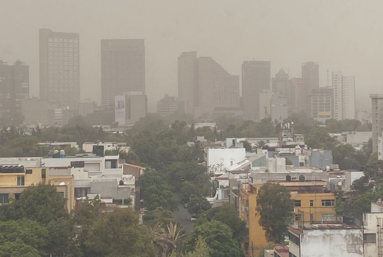 Fuertes rachas de viento provocan daños en la CDMX Fuertes rachas de viento provocan daños en la CDMX