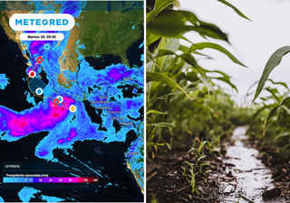 "Rachel" suma lluvias en Guerrero y Oaxaca mientras Polo golpea el Noroeste: el campo del Pac&iacute;fico bajo doble presi&oacute;n