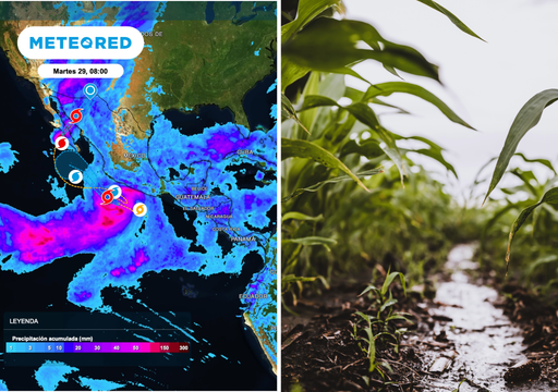 "Rachel" suma lluvias en Guerrero y Oaxaca mientras Polo golpea el Noroeste: el campo del Pac&iacute;fico bajo doble presi&oacute;n