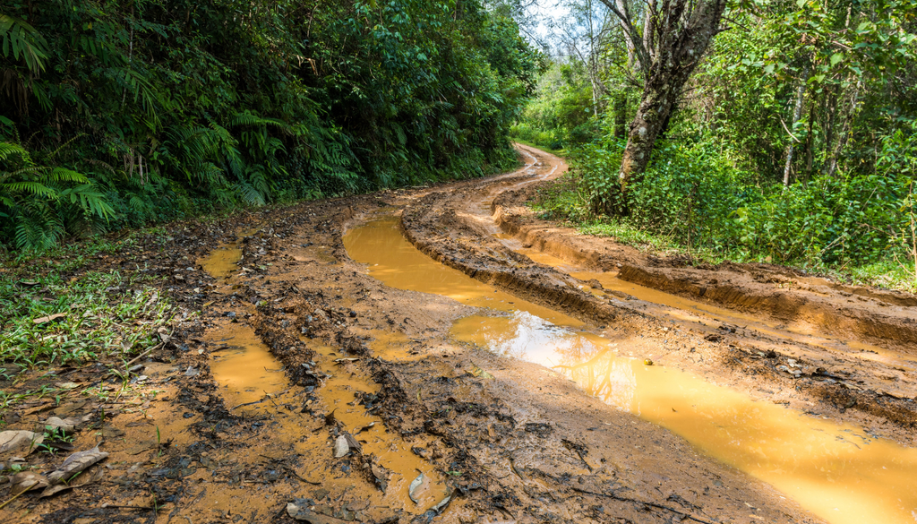 Las lluvias intensas pueden volver intransitables los caminos rurales, dificultando el acceso a parcelas, el traslado de insumos y la salida de cosechas.