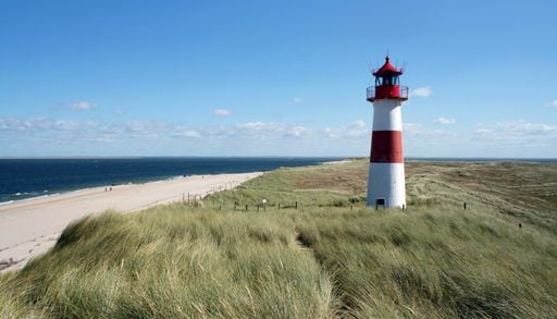 Radfernwege in Deutschland: Welche Routen sich f&uuml;r den n&auml;chsten Radurlaub lohnen