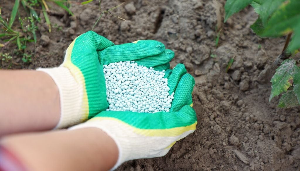 Rendono più efficiente la nutrizione della pianta