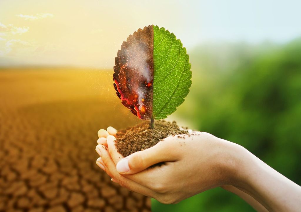 Impacto humano en la naturaleza Impacto humano en la naturaleza