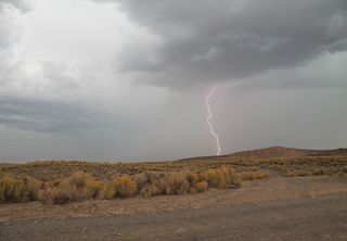 “Dry lightning”: what is it and how does it cause forest fires?