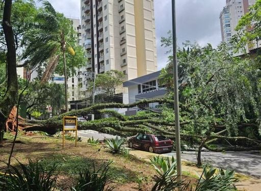 Ventos de quase 100 km/h deixam estragos e mais de 2 milhões de imóveis sem energia na Grande SP; veja imagens