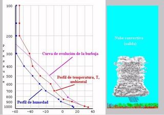RAM práctica: Generando tu propia nube convectiva I