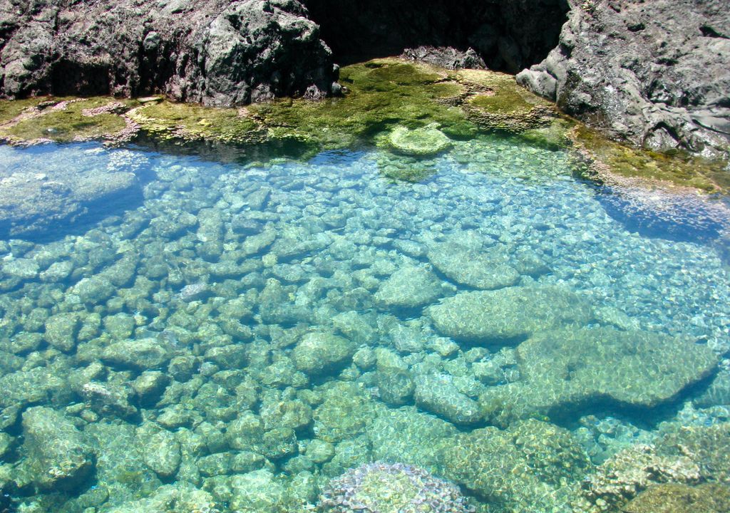 Aguas claras y transparentes de Isla de Pascua.