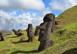 Rapamicina: el medicamento clave para los trasplantes que tuvo su origen en Isla de Pascua