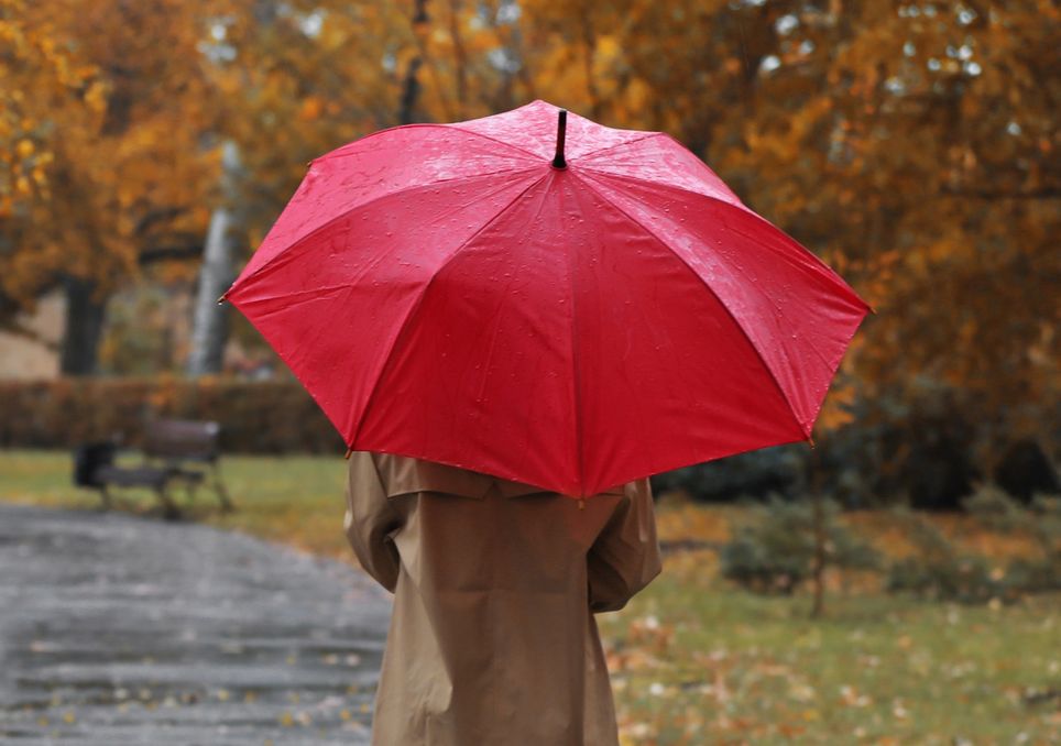 persona de espaldas afirmando un paraguas bajo la lluvia otoñal