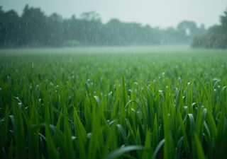 Rápidamente disminuye Sequía en México: abundantes y torrenciales lluvias con ciclones tropicales generaron beneficios