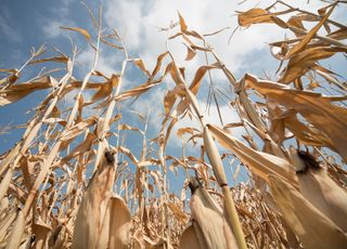 Réchauffement climatique en France : quel avenir pour votre région ?