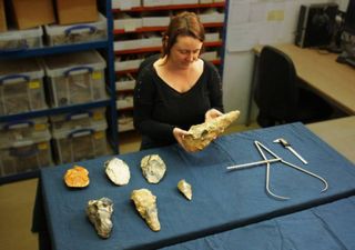 Rare Ice Age site in Kent yields giant stone artefacts 