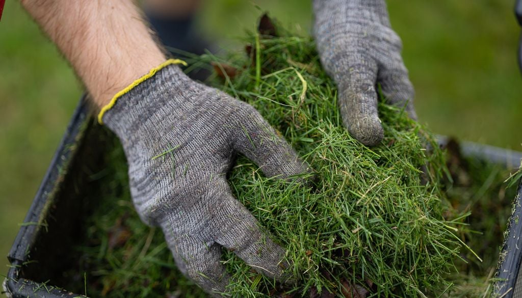 Der Rasen enthält viele wichtige Nährstoffe, die beispielsweise durch das Mulchen wieder in den Garten zurückgeführt werden.