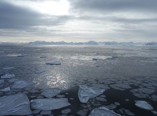 Rätsel um schwankenden Warmwasser-Einstrom in die Arktis scheint gelöst