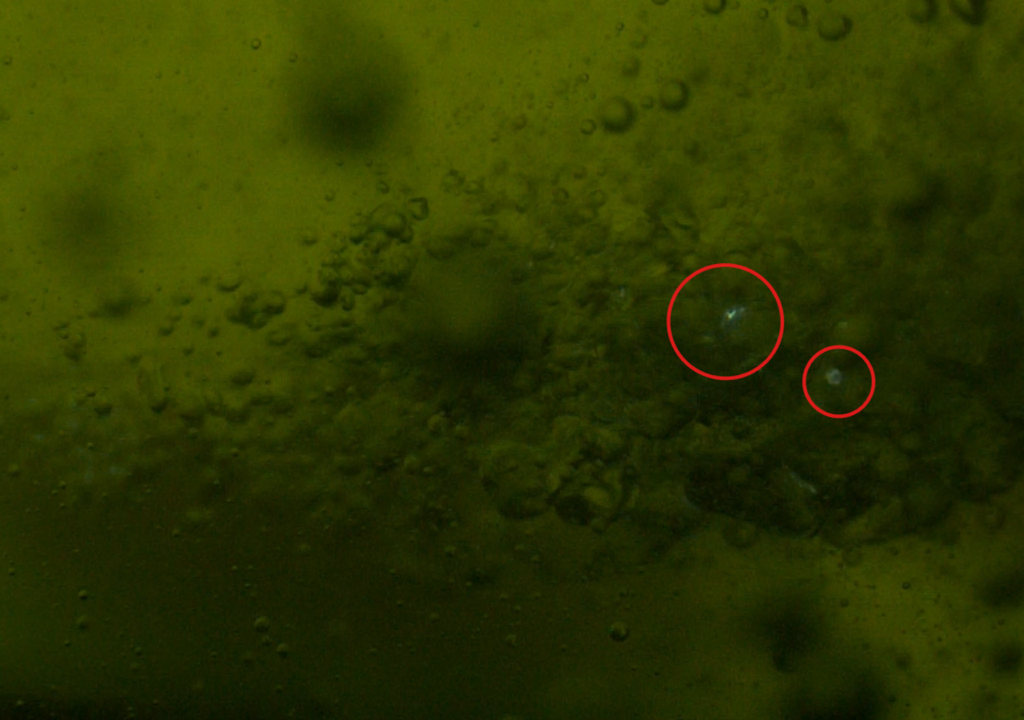 Mehrere Mikroblitze, die zwischen benachbarten Methan-Luft-Mikroblasen unter Bedingungen mit hoher Blasenbildung auftreten. Das dazugehörige Video wurde mit einer Hochgeschwindigkeitskamera mit 24.000 Bildern pro Sekunde aufgenommen. Mehrere Mikroblitze, die zwischen benachbarten Methan-Luft-Mikroblasen unter Bedingungen mit hoher Blasenbildung auftreten. Das dazugehörige Video wurde mit einer Hochgeschwindigkeitskamera mit 24.000 Bildern pro Sekunde aufgenommen.