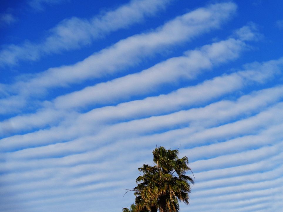 Wellenförmige Kondensstreifen am Himmel Wellenförmige Kondensstreifen am Himmel