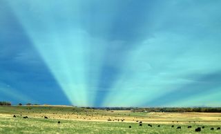 Rayos anticrepusculares, 28 de noviembre de 2010