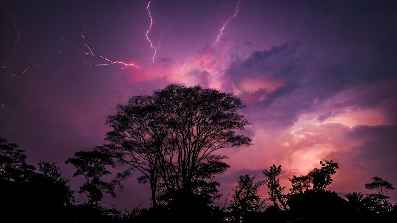 Rayos sobre una zonas boscosa. Imagen de Km Fahim en PXHERE