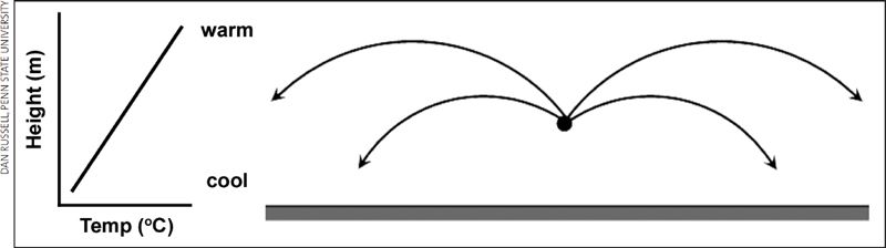 Rayos Que No Truenan Rayos Que No Truenan