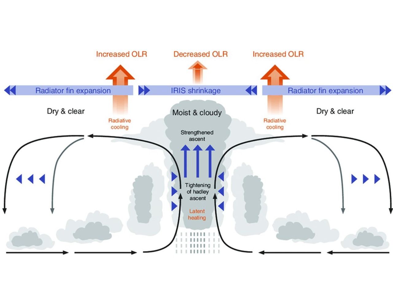 Global warming and atmospheric circulation, a major domino effect