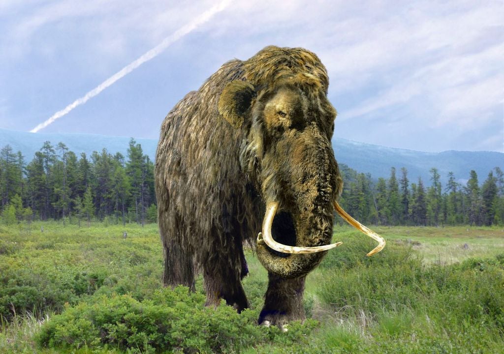 mamut, extinción, genetica