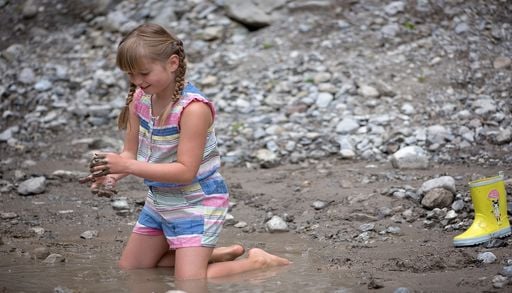 R&eacute;apprendre &agrave; voir la nature : le pari d'une nouvelle &eacute;ducation &eacute;cologique &agrave; l'&eacute;cole. La France concern&eacute;e ?