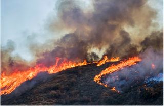 Reavivación de incendios en el Ártico: incendios «zombis»