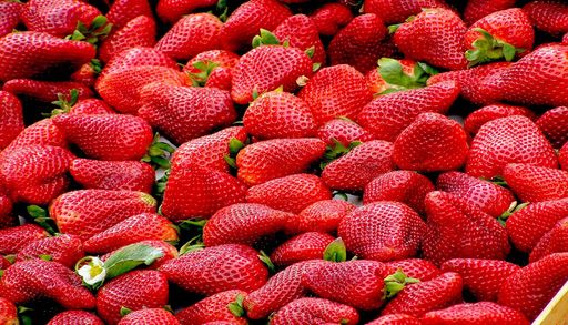 Le r&eacute;chauffement climatique force les agriculteurs &agrave; repenser leur m&eacute;tier