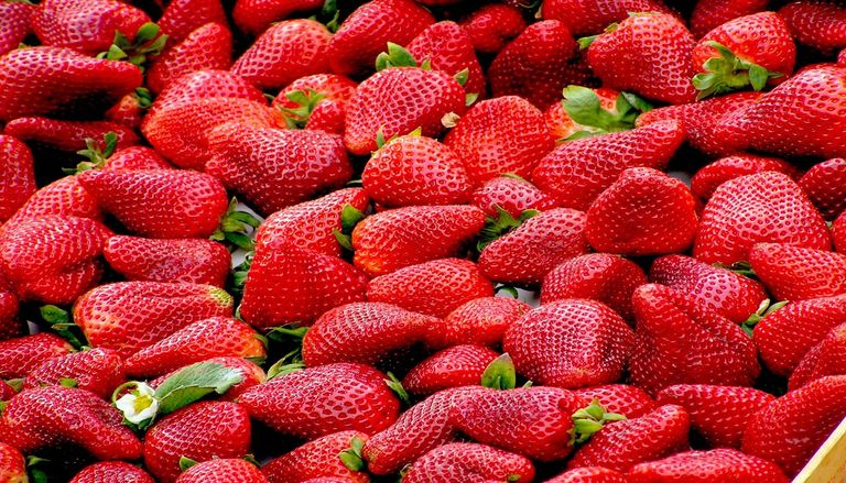 Le r&eacute;chauffement climatique force les agriculteurs &agrave; repenser leur m&eacute;tier